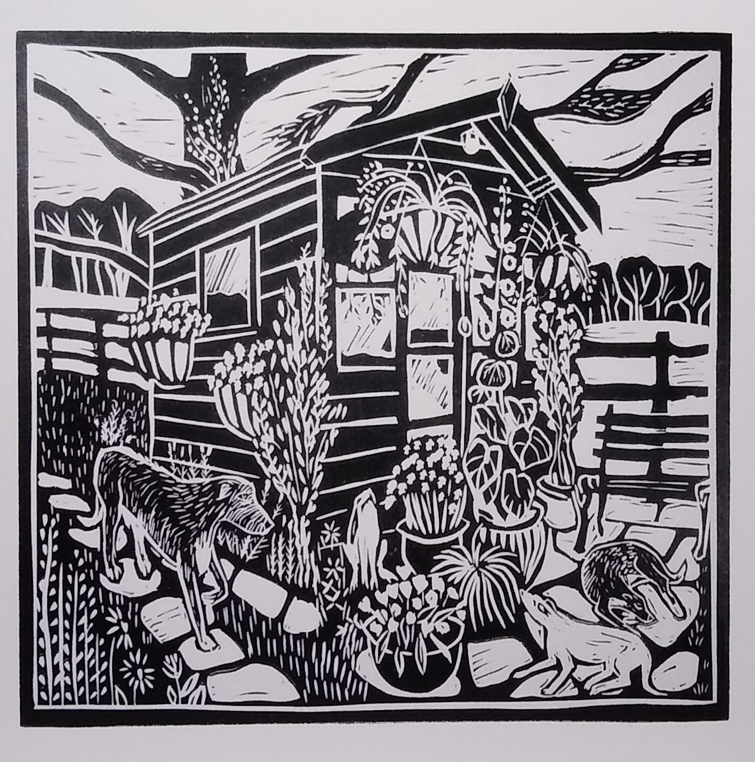 Albemarle Summerhouse & Hounds Card