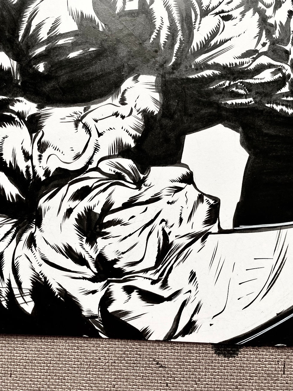 Thumbnail: the maxx  9 x 12