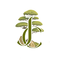 Logo Junqua concept (2).png