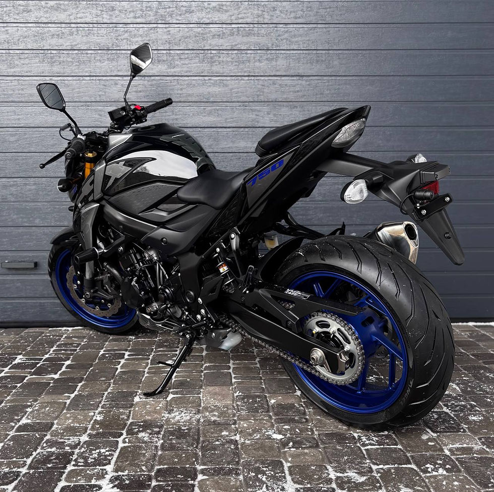 Прев'ю: Suzuki GSX-S750 Art.1555