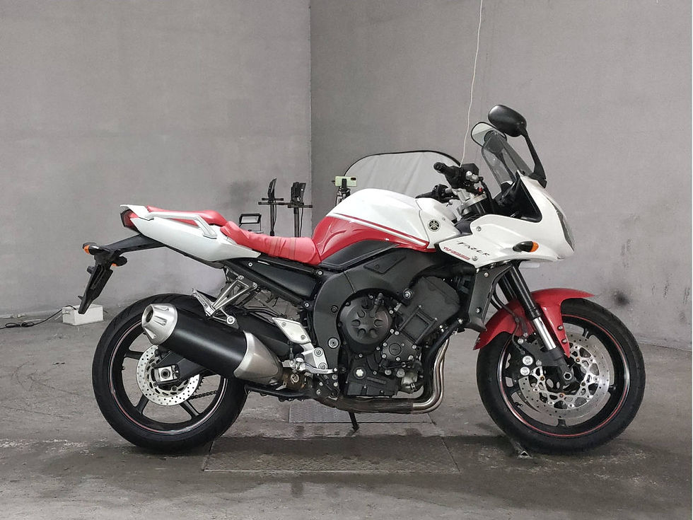 Yamaha FZ1 Fazer Art.1607