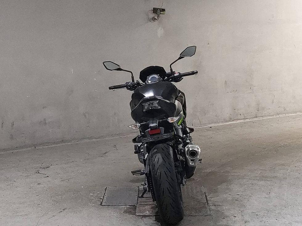 Прев'ю: Kawasaki Z900 Art. 8126