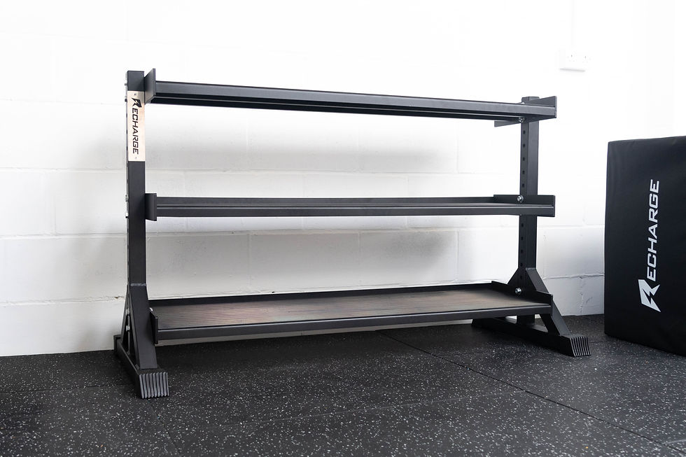 dumbbell and kettlebell rack