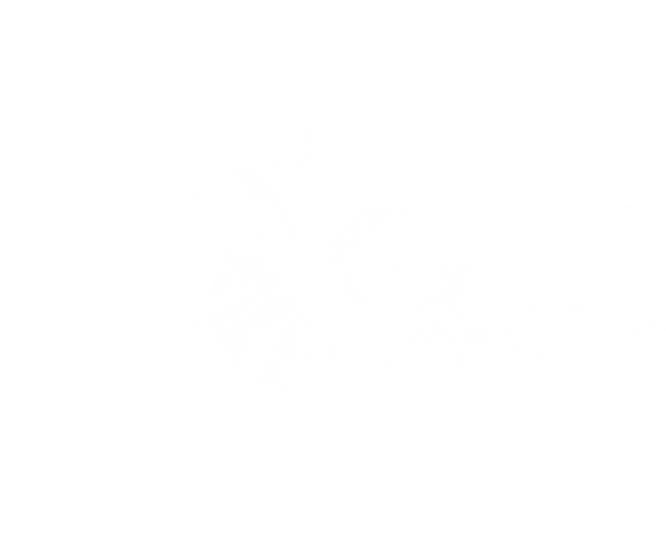 제목 없음-2.png