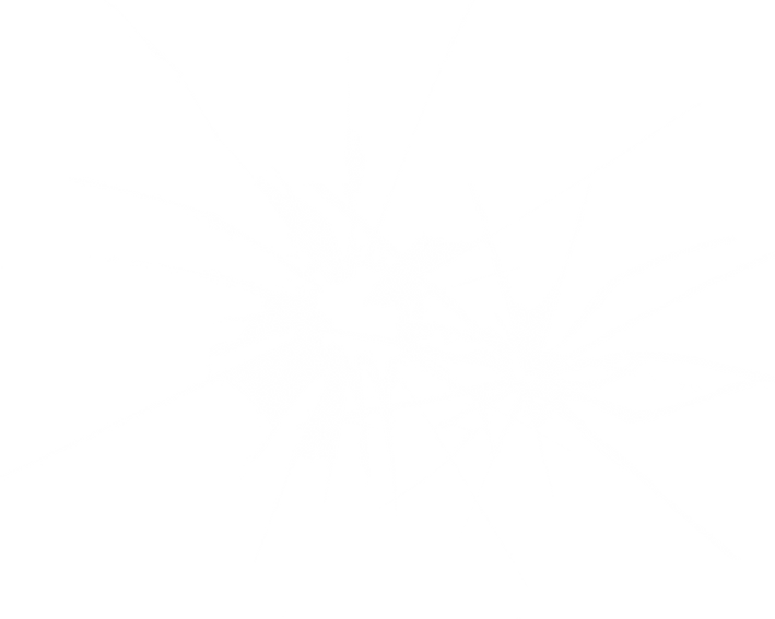 제목 없음-2.png