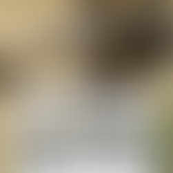 God fights my battles