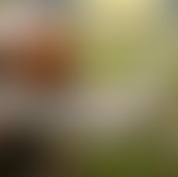 விட்டு விடாதே!