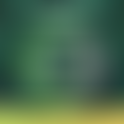 கல்லான இருதயங்கள் உடைக்கப்பட ஜெபிப்போம்