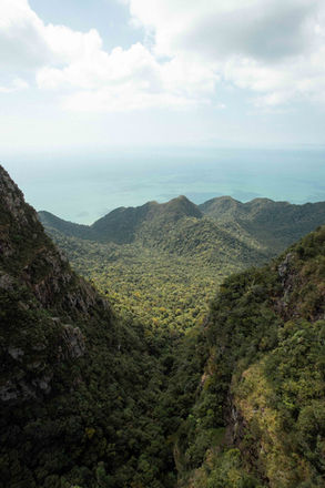 Ausblick in den Dschungel von Skybridge. Foto von Hurdle The World