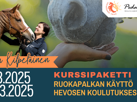 KURSSIPAKETTI: Ruokapalkan käyttö hevosen koulutuksessa