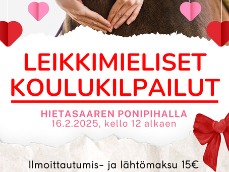 Leikkimieliset koulukilpailut 16.2.2025