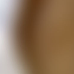 Pâte à tarte minute (option sans gluten)