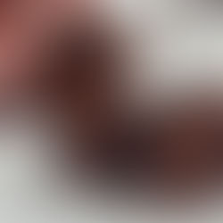 Lava Cake - Coulants chocolat noisette sans sucres ajoutés et sans beurre 