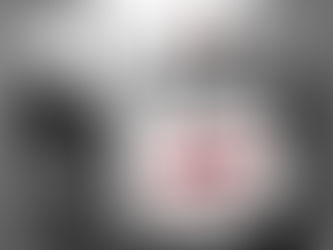 Dogs and cats could win the lottery