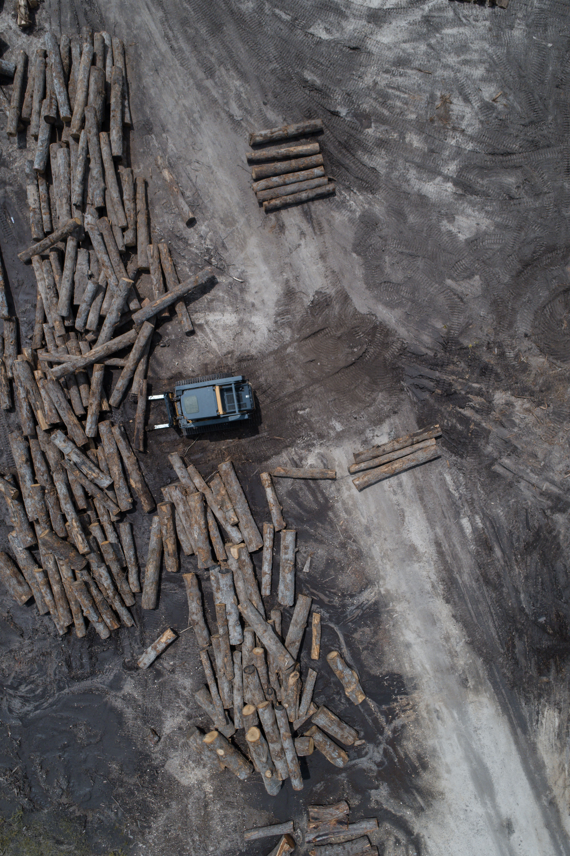 Hardwood-Design-Company-wide-plank-hardwood-flooring-wooden-flooring-texas-post-oak-hardwood-flooring-oakflooring-salvaged-wood-flooring-manufactuerers-post-oak-logs
