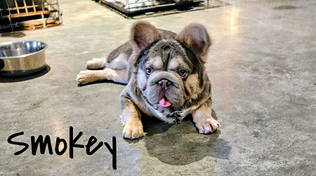 09-27-25 Smokey Garage floor.jpg