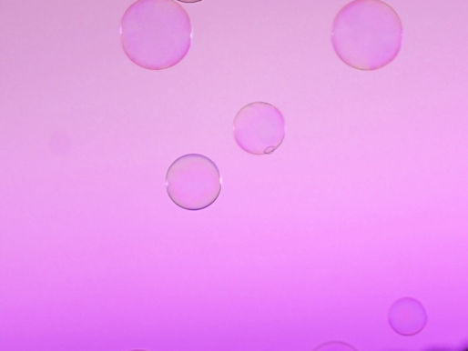 Popping the Clubble