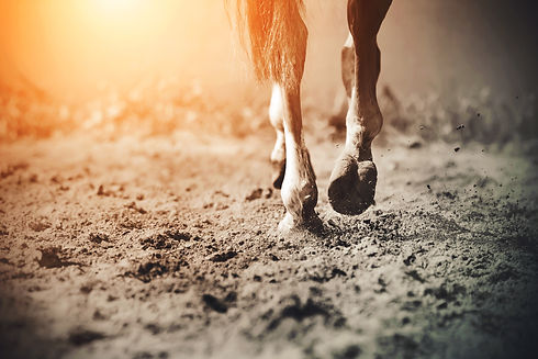 AdobeStock_331151340.jpeg