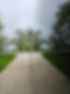 20250517_124430.jpg