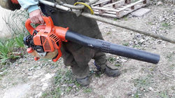 Jardineros amigos de la naturaleza