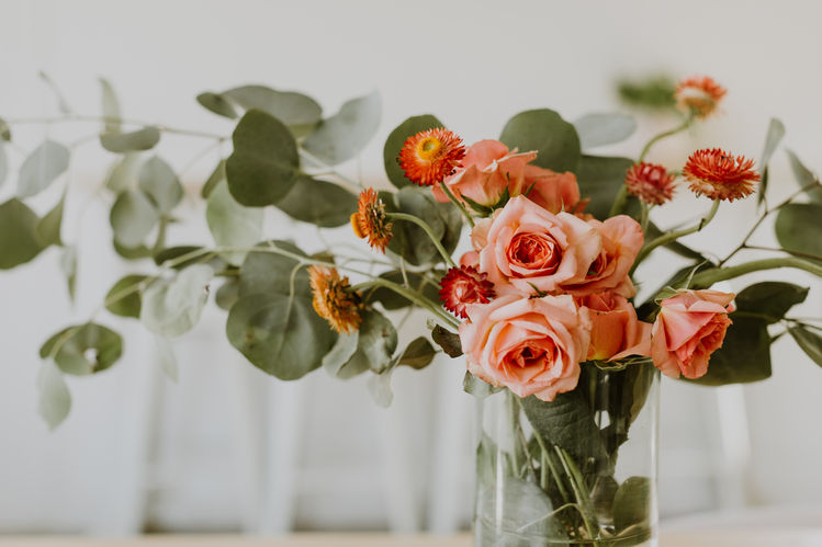 toni-osmundson-ZQtk_VAvO7Y-unsplash.jpg