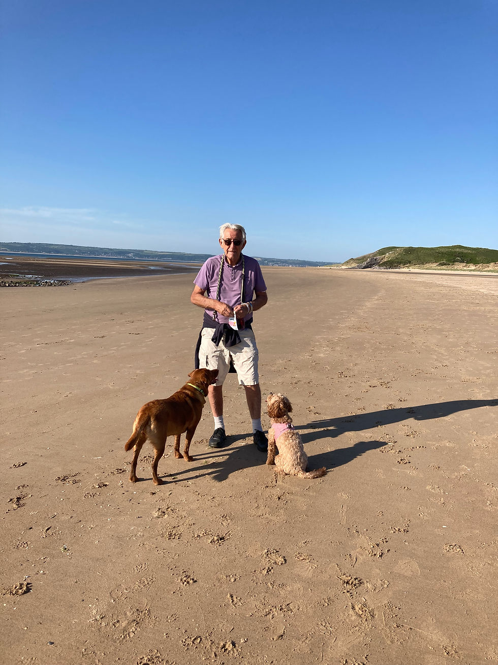 Grandfather and 2 dogs