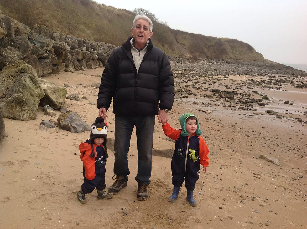 Grandfather and two small grandsons
