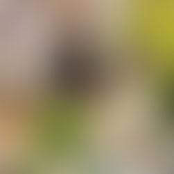 Delightful Cocktails & RECAPS