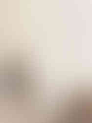 Sancar Wallcovering Happy Collection