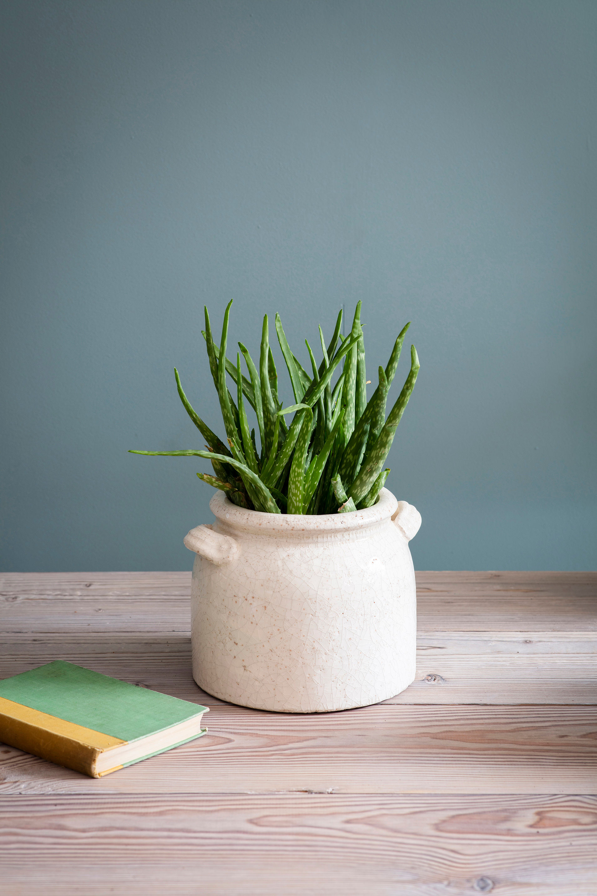 Ravello Pot with Handles