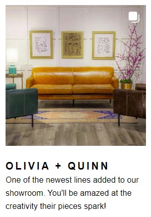 Olivia + Quinn New Line