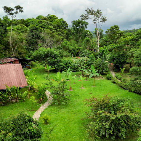 Cabañas equipadas con todos los servicios para una excelente estadia en la selva