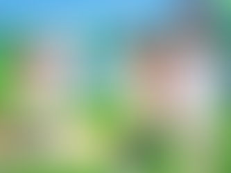 Non Non Biyori: Nonstop se estrenará en enero de 2021