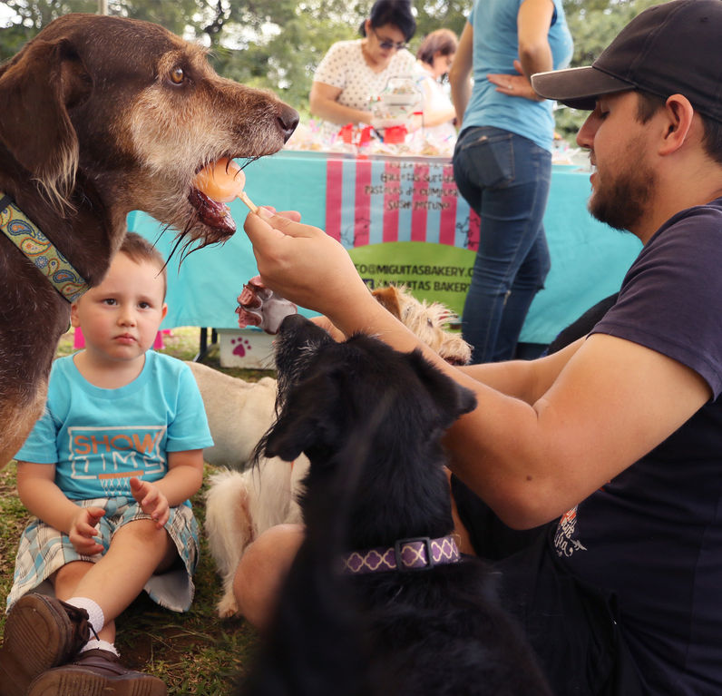 rgarita_perrhijos 08.jpg