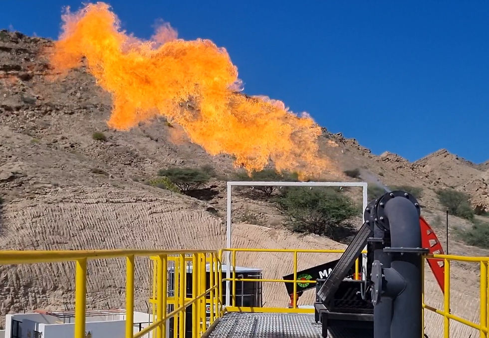 Thumbnail: Industrial Fire Training Simulators 