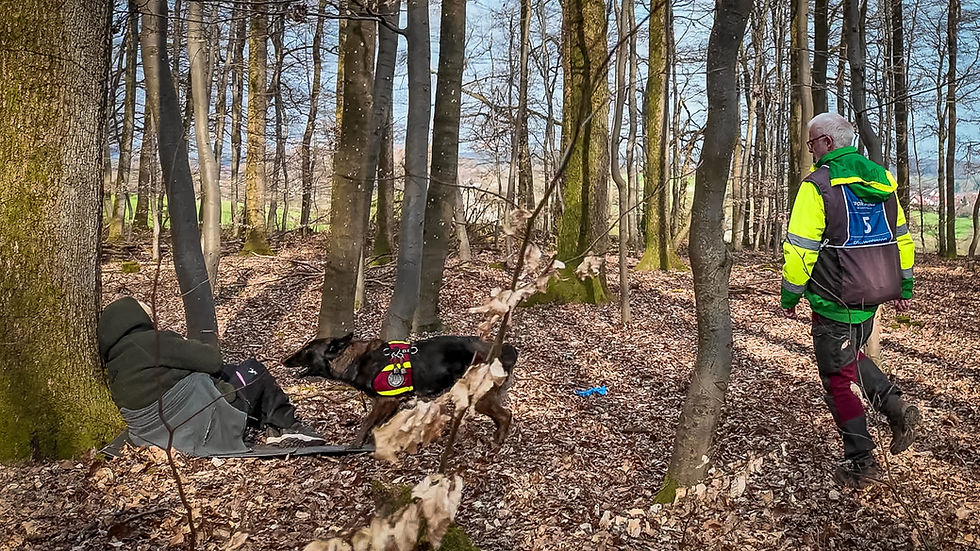 Weltklasse-Leistung: Gerhard Weis überzeugt bei der FCI-WM der Rettungshunde