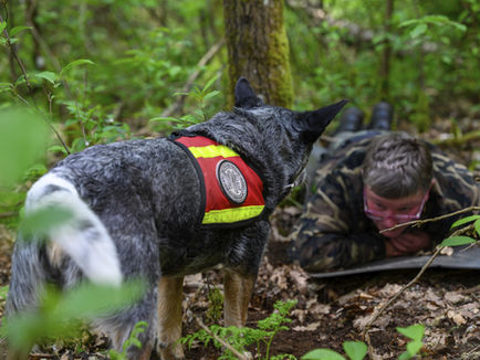 DVG Bundessiegerprüfung 2026: Was dich erwartet
