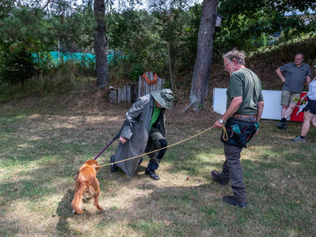 Jährliches Wesenstraining im HSZ Homburg-Kirrberg – Junge Hunde meistern neue Herausforderungen