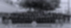fotobanda_edited_edited_edited.jpg