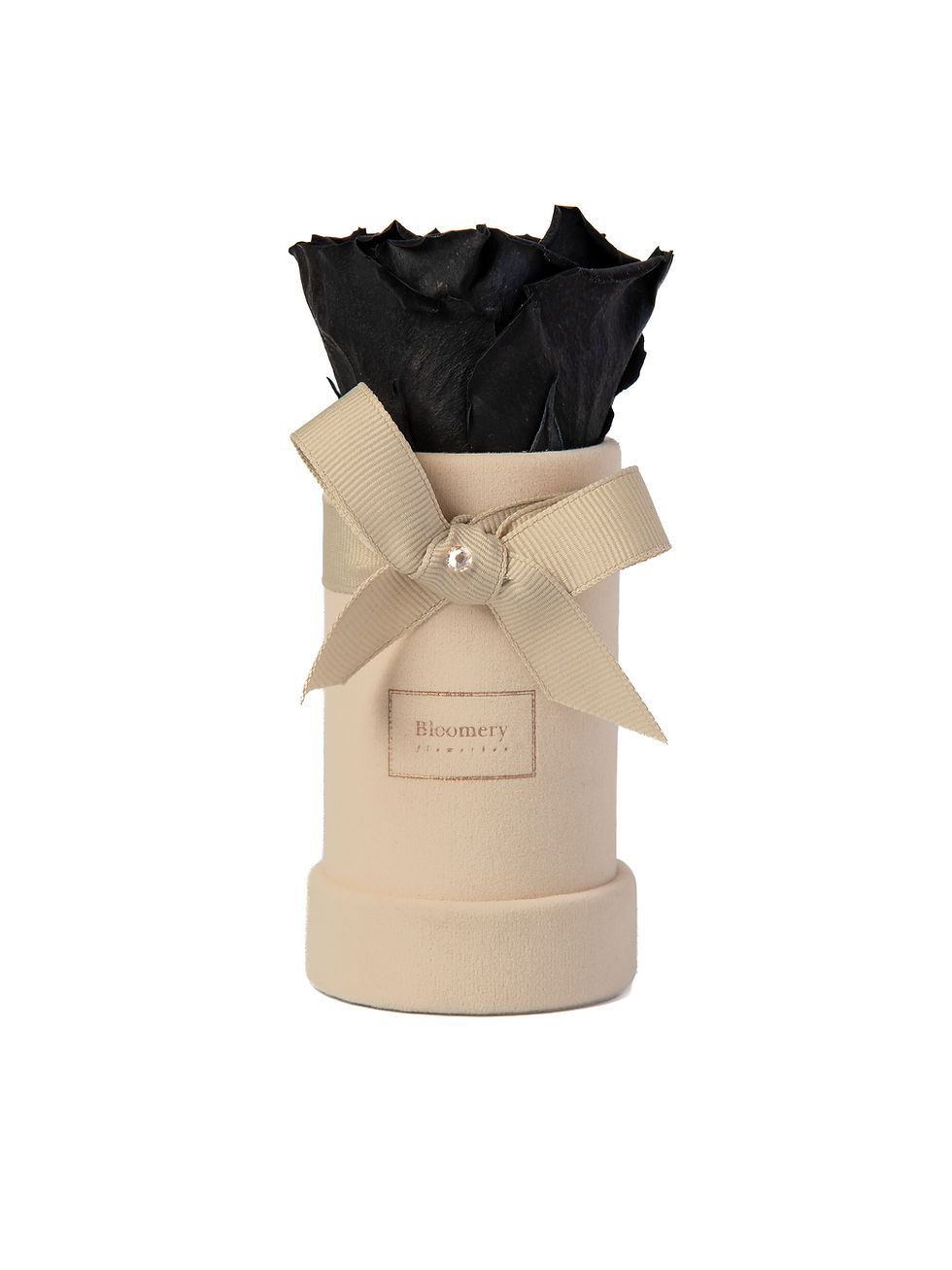 Miniaturbild: Glamour Velvet Flowerbox BLACK BEAUTY  in MINI