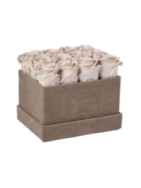 Square Velvet Flowerbox GREY  in MEDIUM