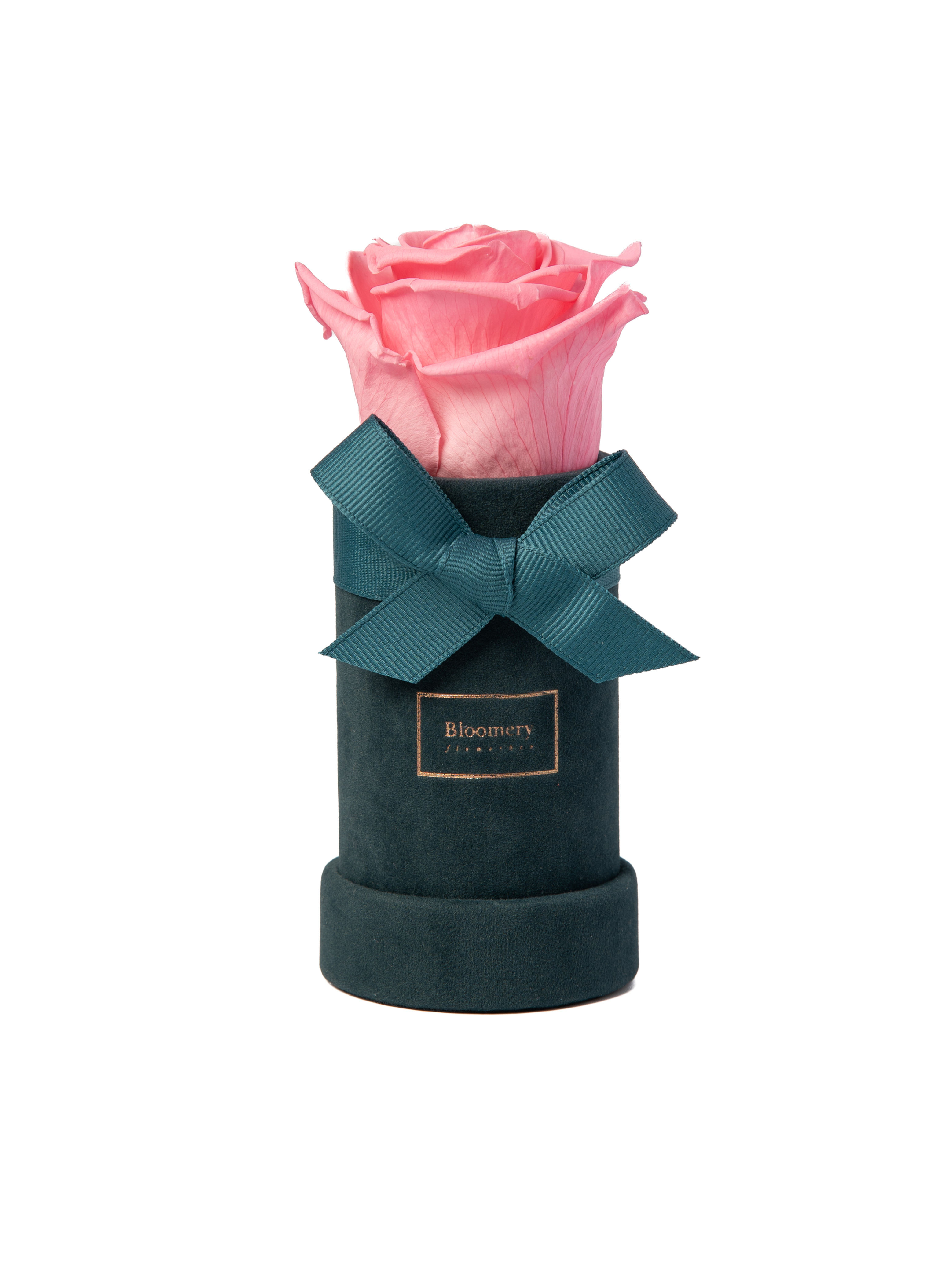 VELVET Flowerbox BABY PINK in MINI