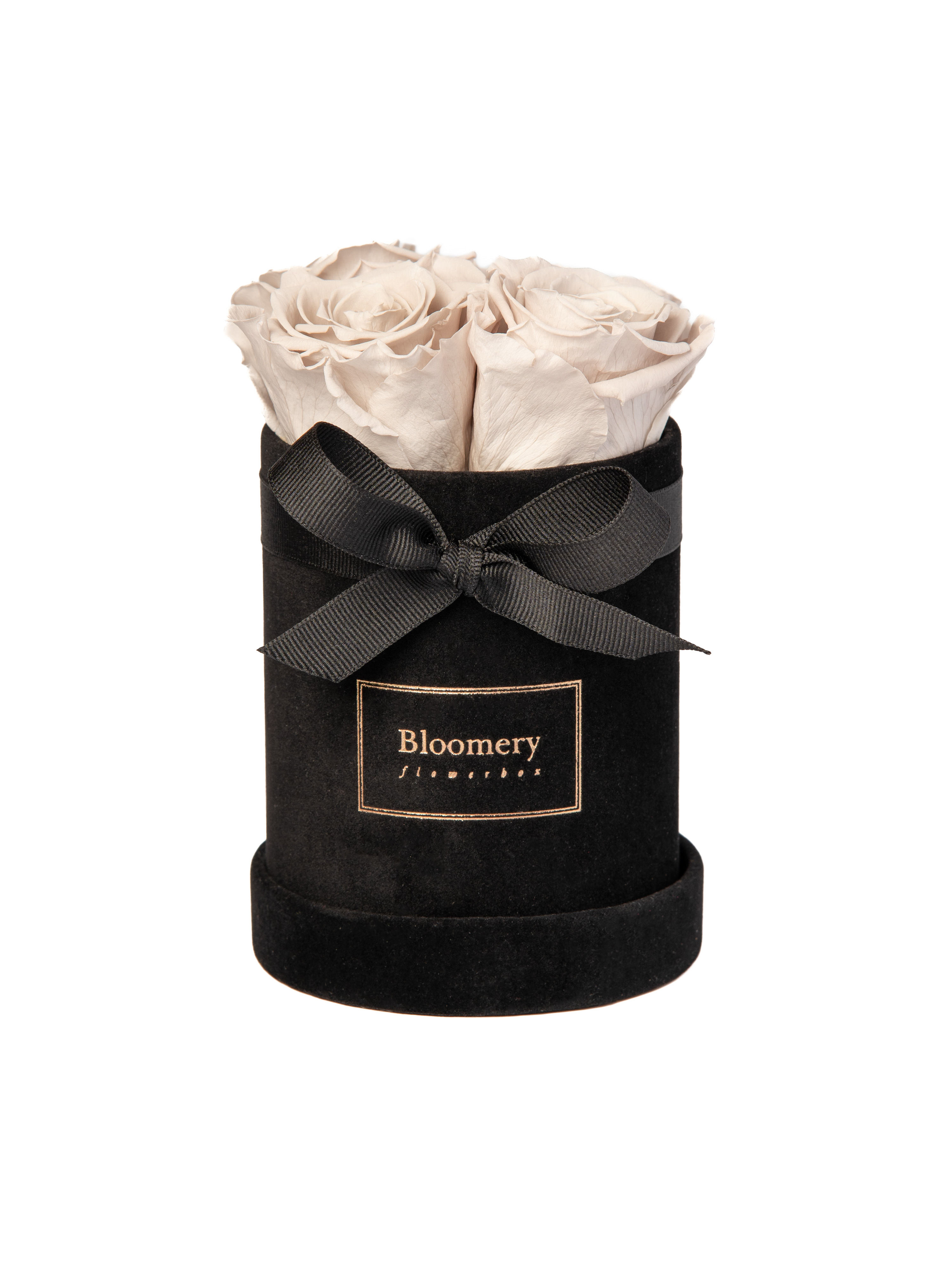 VELVET Flowerbox GREY  in MIDI