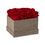 Thumbnail: Square Velvet Flowerbox KUSSMUND ROT  in MEDIUM