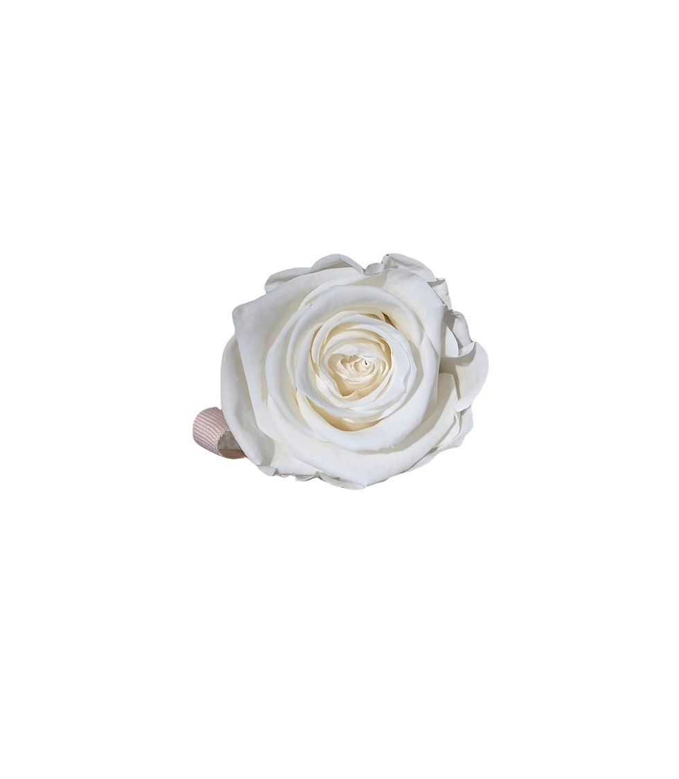 Miniaturbild: VELVET Flowerbox PURE WHITE in MINI