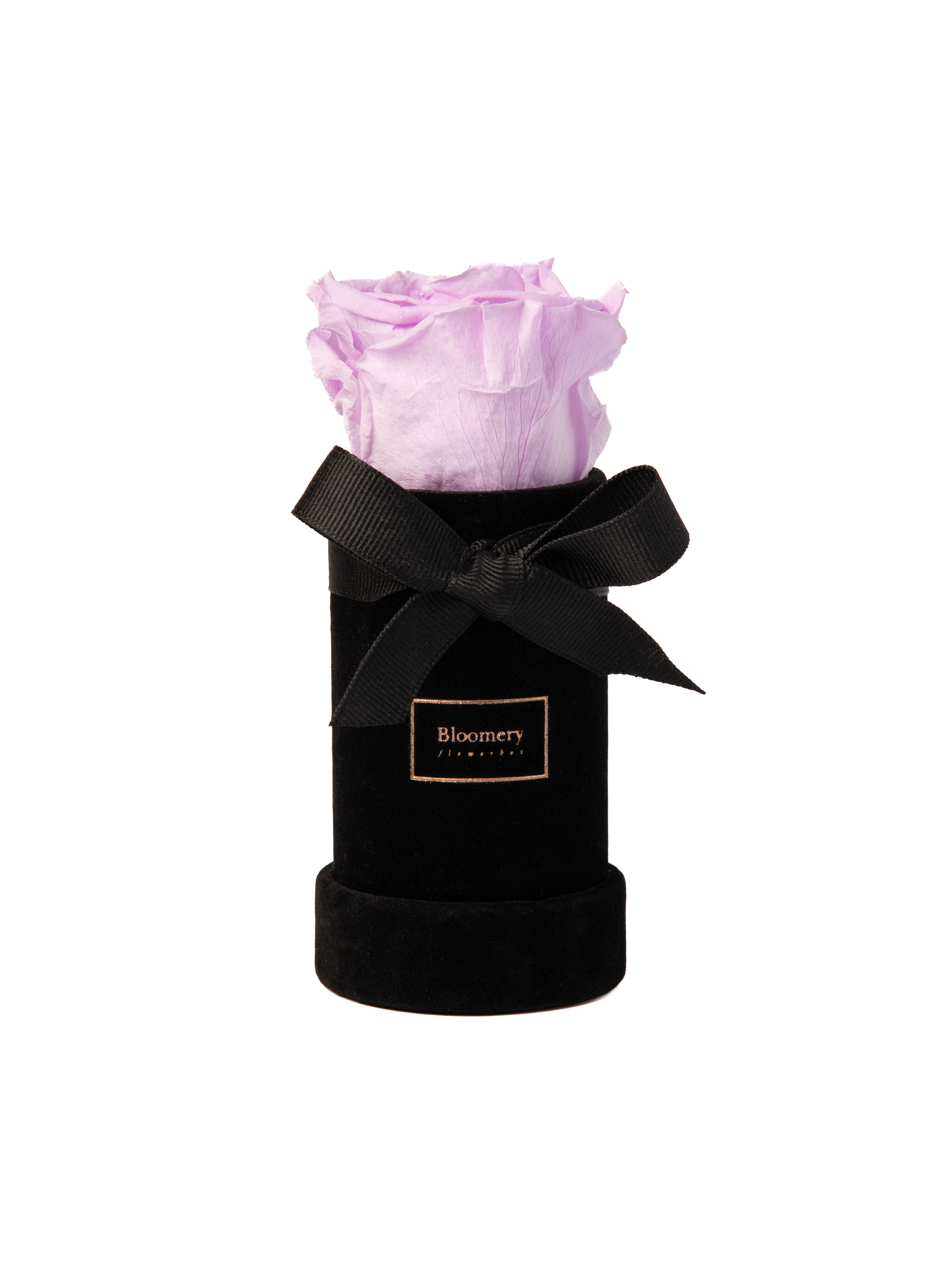 VELVET Flowerbox BABY LILA in MINI