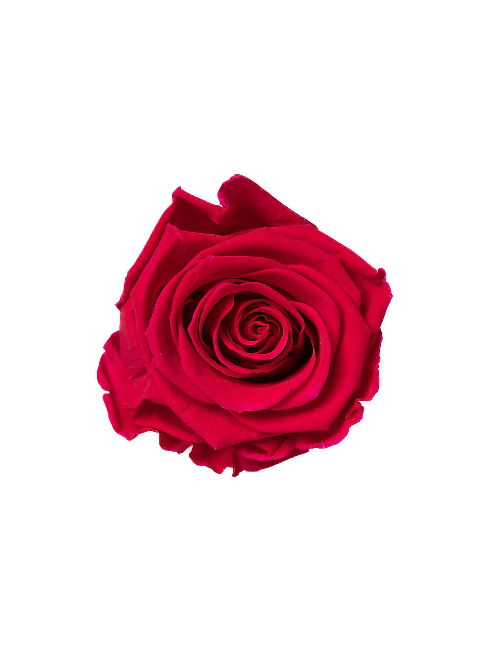 Miniaturbild: Glamour Velvet Flowerbox HOT PINK in MINI