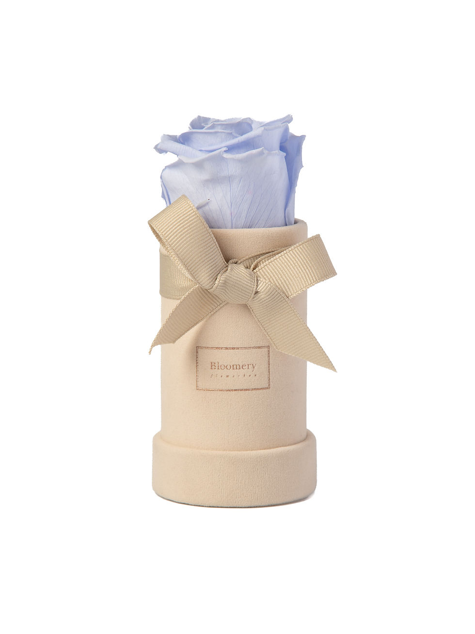 Miniaturbild: VELVET Flowerbox LAVENDEL BLUE  in MINI