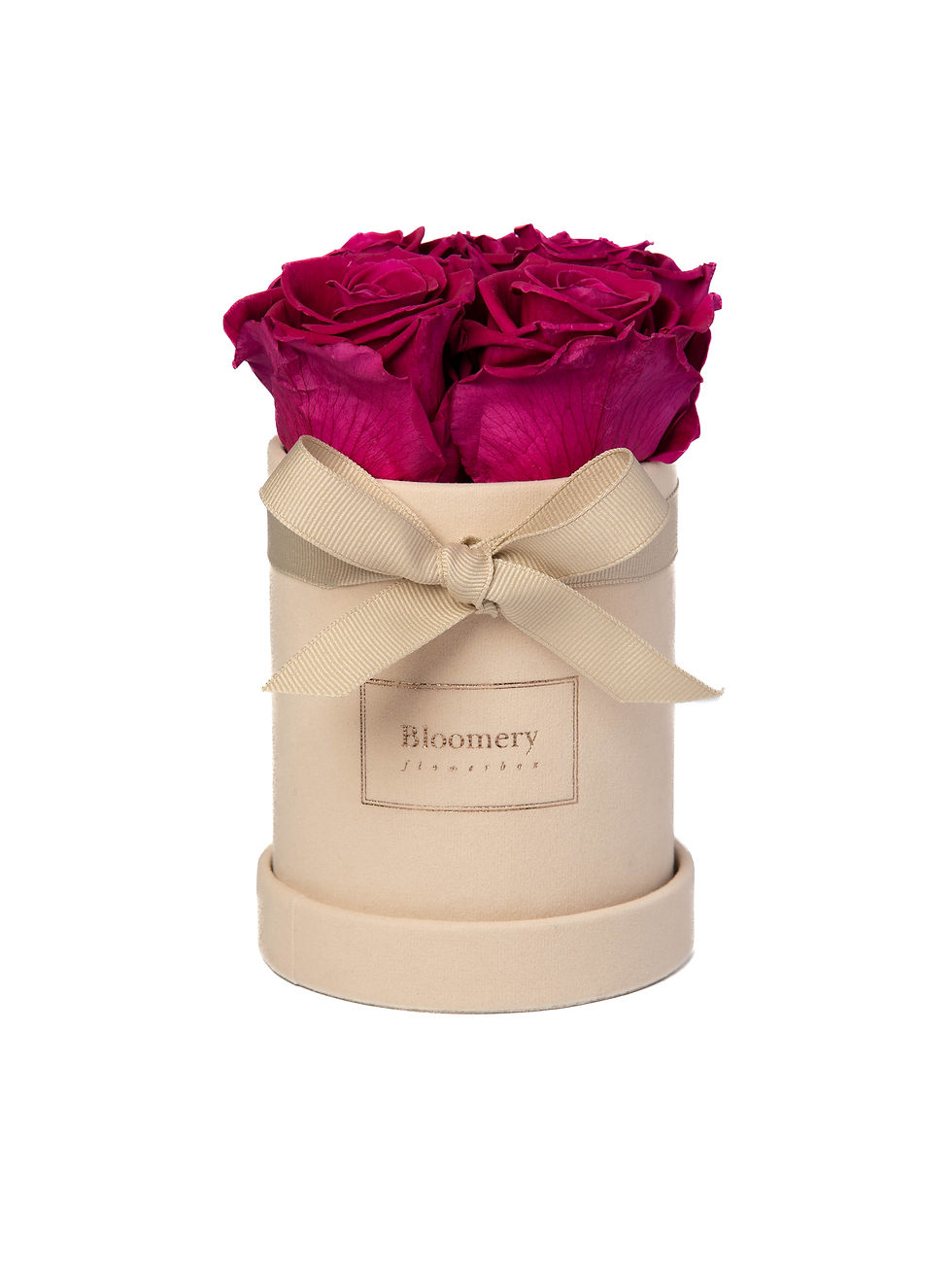 Thumbnail: VELVET Flowerbox VELVET PLUM in MIDI