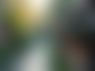 Top Benefits of Regular Gutter Cleaning Explained